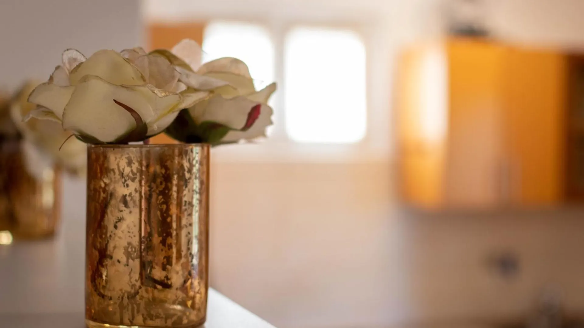 Stancija Rosa Apartment Porec