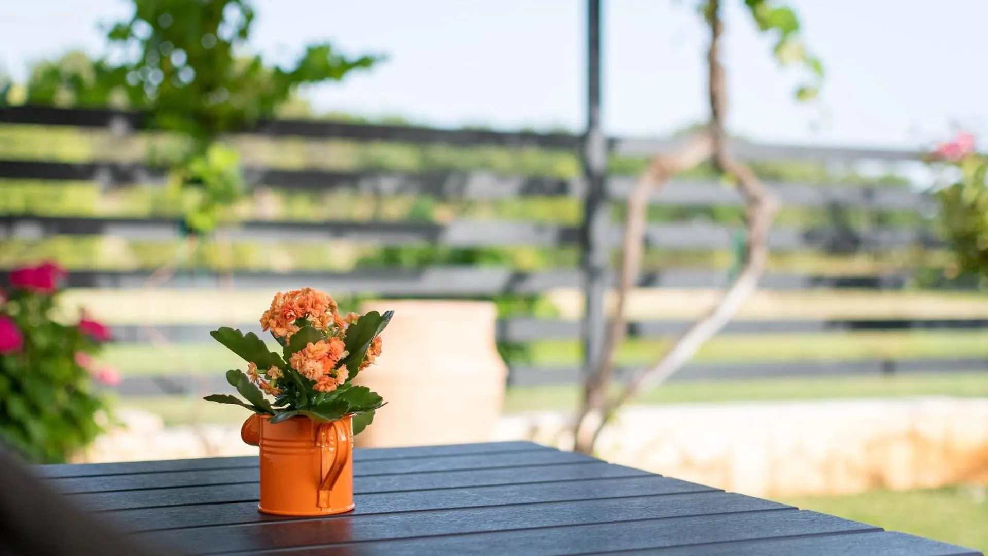 Stancija Rosa Apartment Porec 0*,