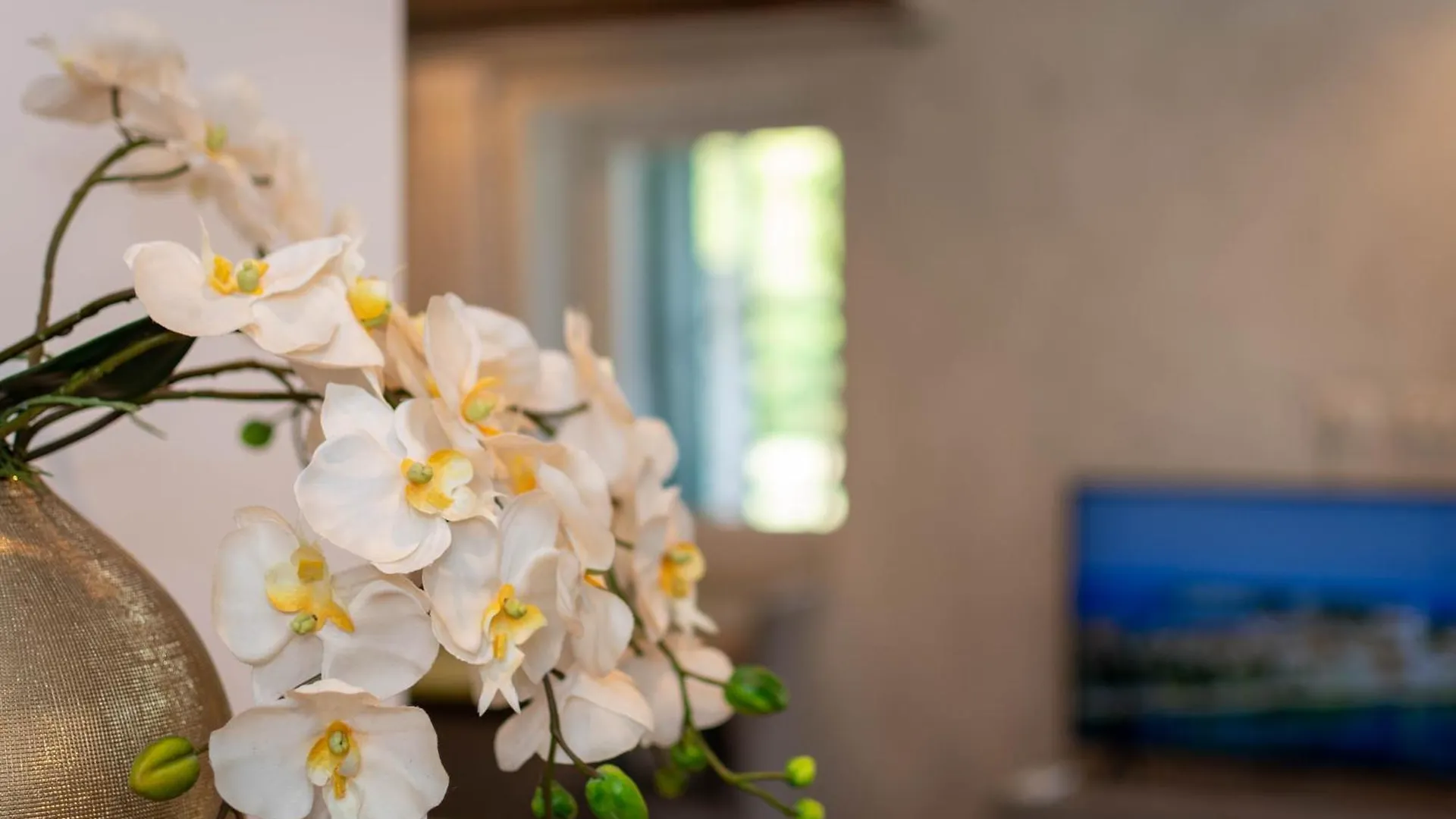 Stancija Rosa Apartment Porec